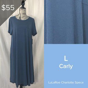 NWT L Blue Lularoe Carly Dress